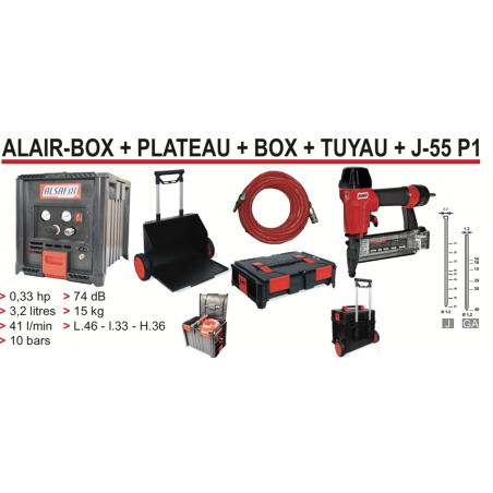 42.000 POINTES J + CLOUEUR PNEUMATIQUE J-55 P1 - ALSAFIX