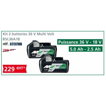 KIT 2 batteries BSL36A18 36 V - 18 V Multi Volt