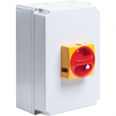 Interrupteur de proximité 3x40A - Legrand LEGRAND